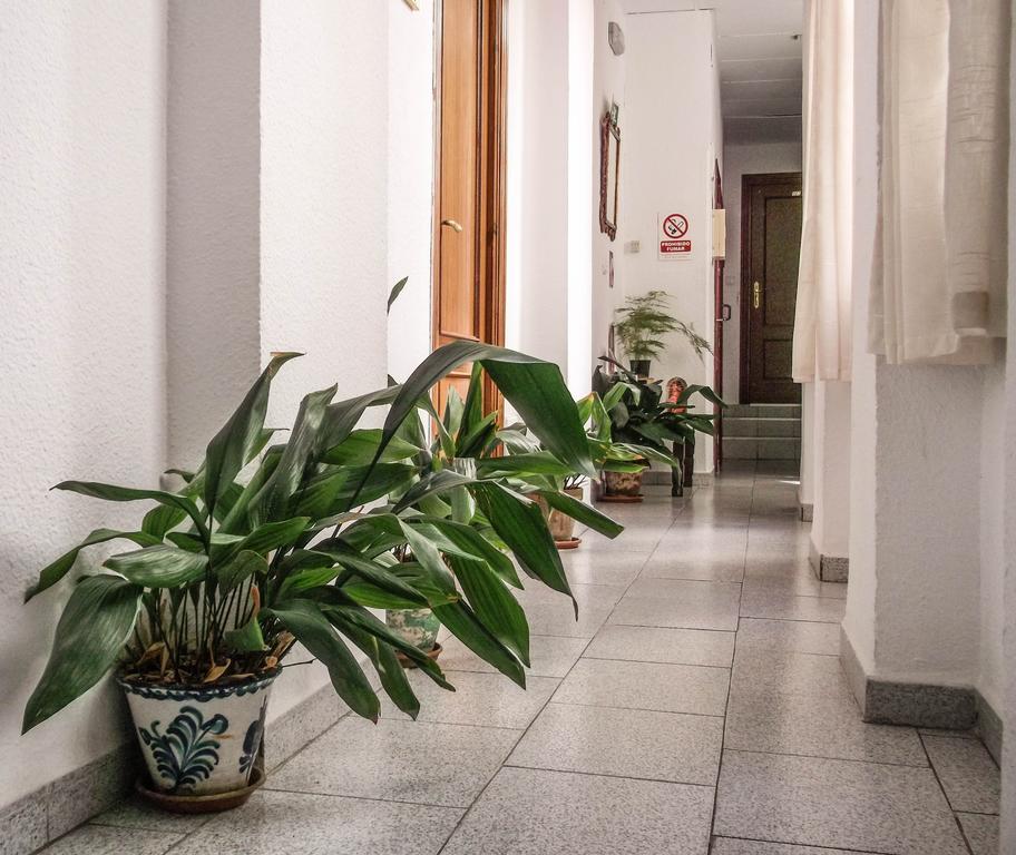 גרנדה Pension Ciudad Navarro Ramos מראה חיצוני תמונה